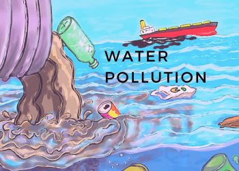 Several Factors Affect The Pollution Of Water