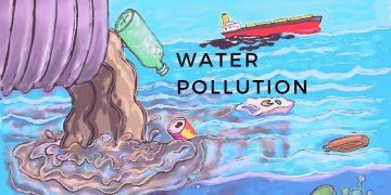 Several Factors Affect The Pollution Of Water