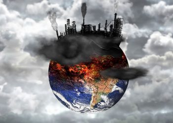 The 10 Most Effective Methods For Reducing Pollution